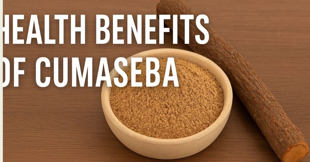 Health Benefits of Cumaseba: Amazonian Herbal Remedy