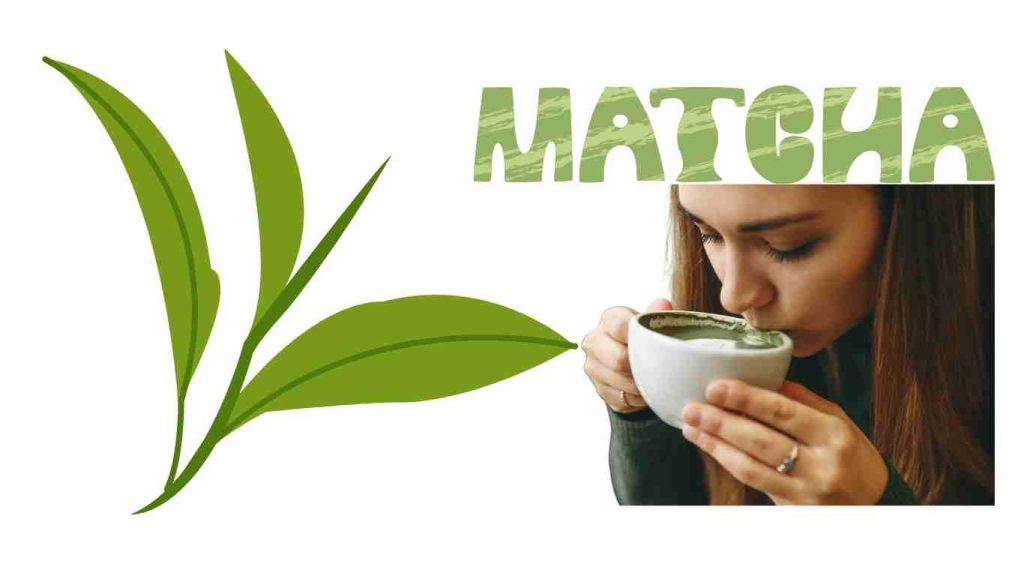 Matcha Slim Effectiveness for Women Over 40