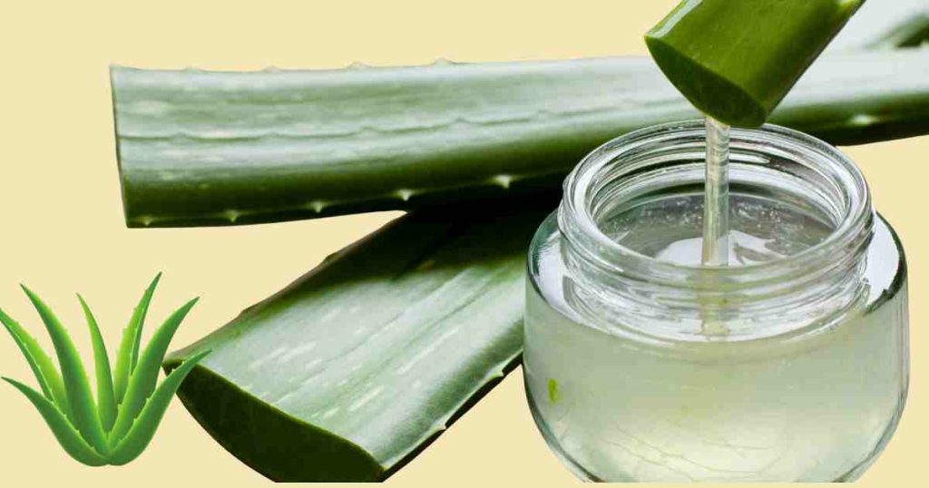 Aloe Vera Benefits for Skin and Hair 