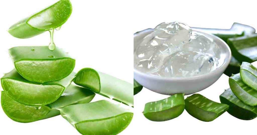 Aloe Vera Benefits for Skin and Hair 