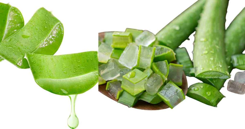 Aloe Vera Benefits for Skin and Hair | Natural Care & Beauty Tips