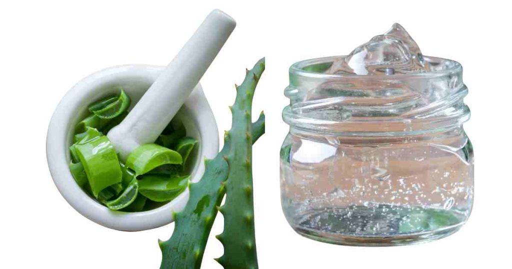 Aloe Vera Benefits for Skin and Hair 