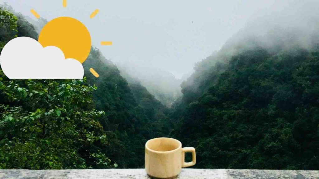Simple Morning Routine for Women: Easy Daily Habits for Energy & Focus