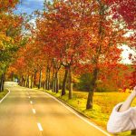 Fall Skincare Routine for Beginners: 10Simple Tips for Healthy Autumn Skin