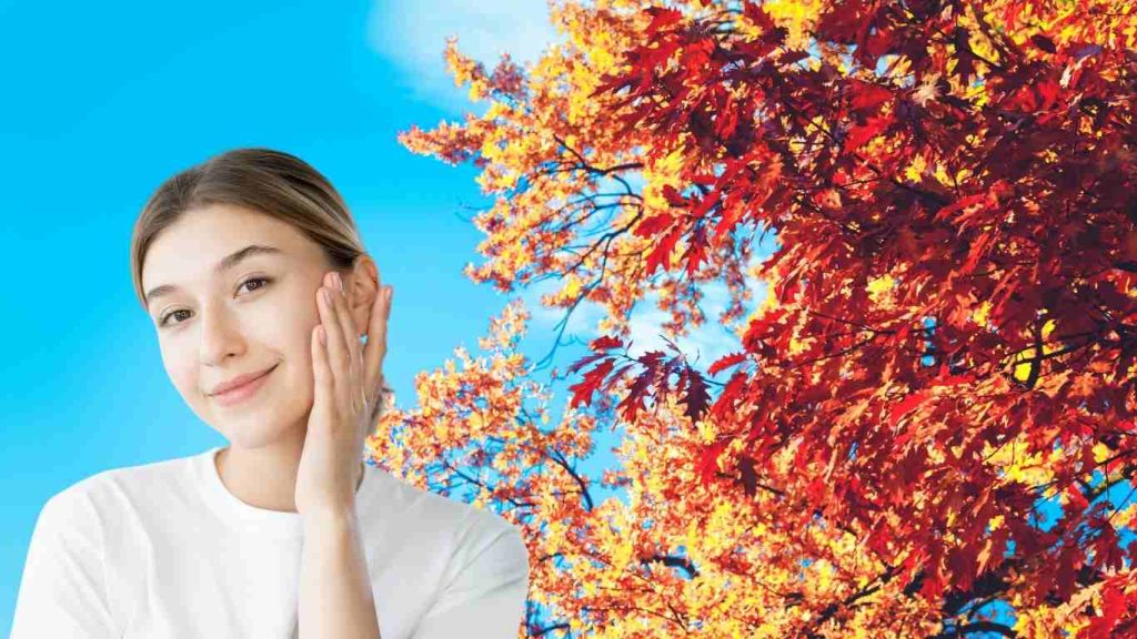 fall skincare routine for beginners
