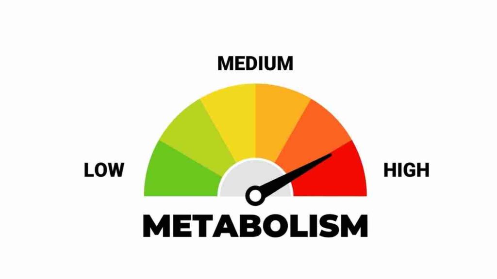 15 Easy 30-Minute Low-Calorie Dinners for Healthy Aging