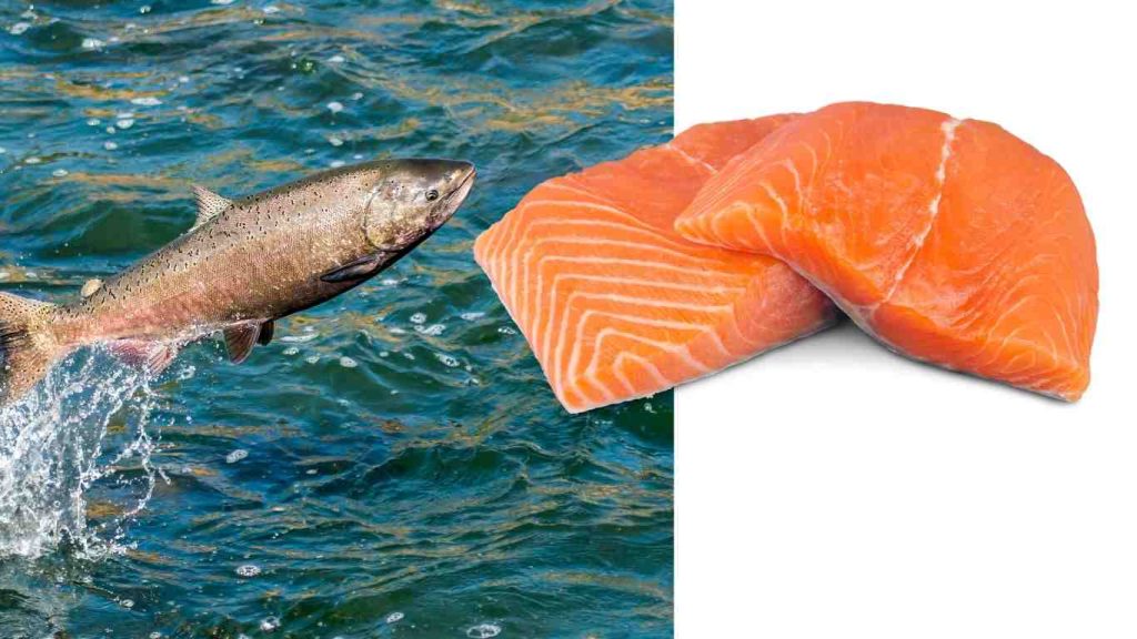 fish with more vitamin D than an egg