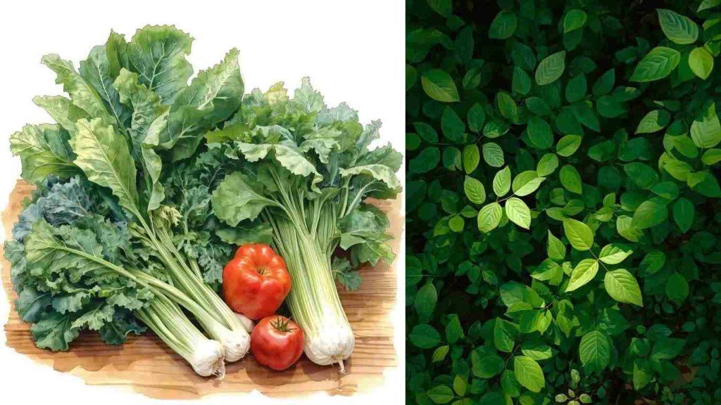 Best foods to control blood sugar naturally