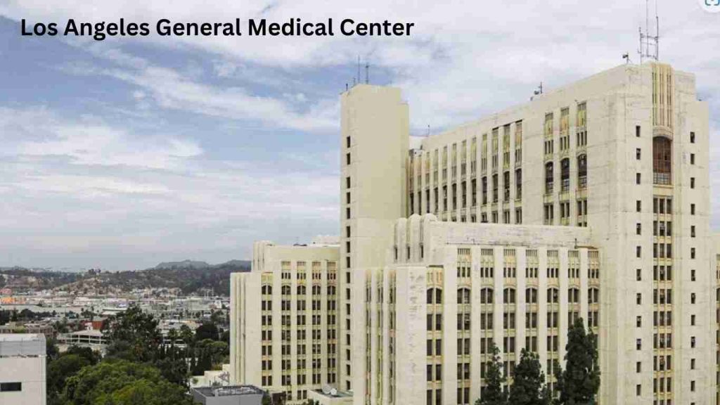 Los Angeles government hospitals