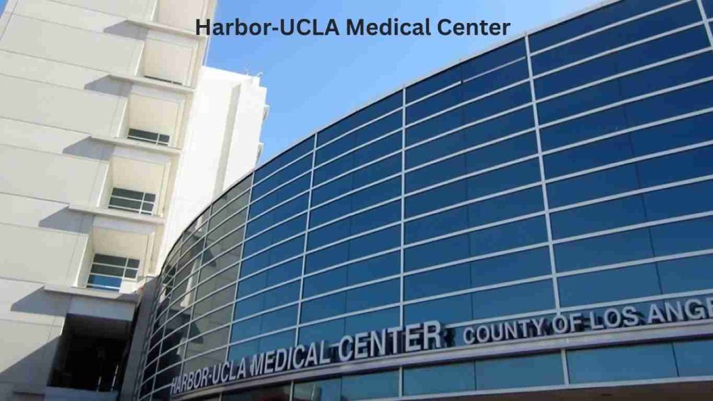 Los Angeles government hospitals