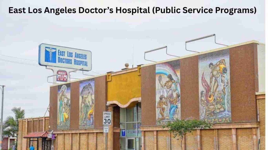 Los Angeles government hospitals