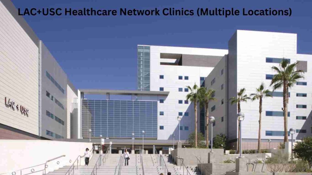 Los Angeles government hospitals