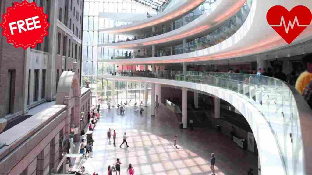 government hospitals in New York City 