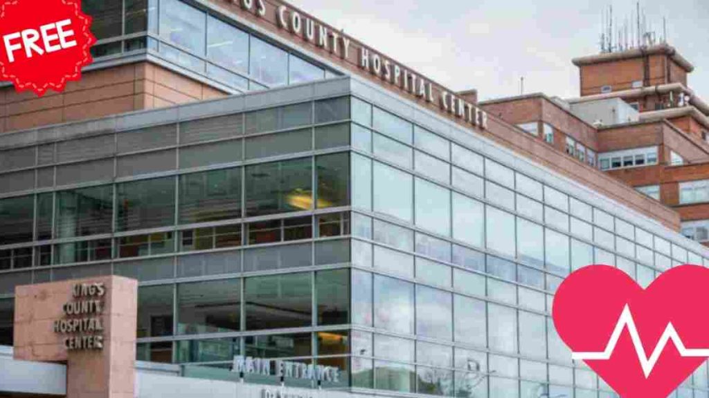 government hospitals in New York City