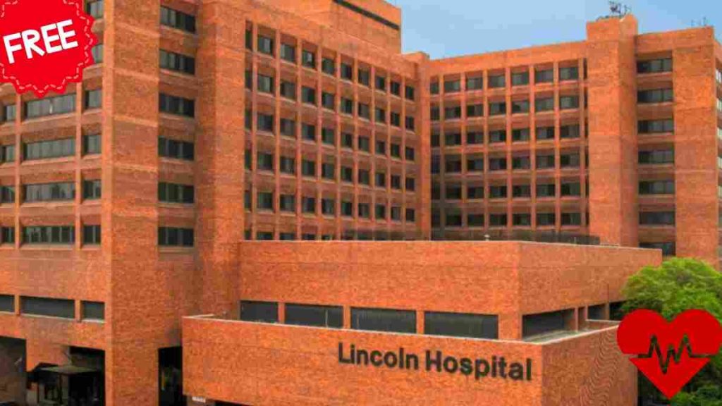 government hospitals in New York City