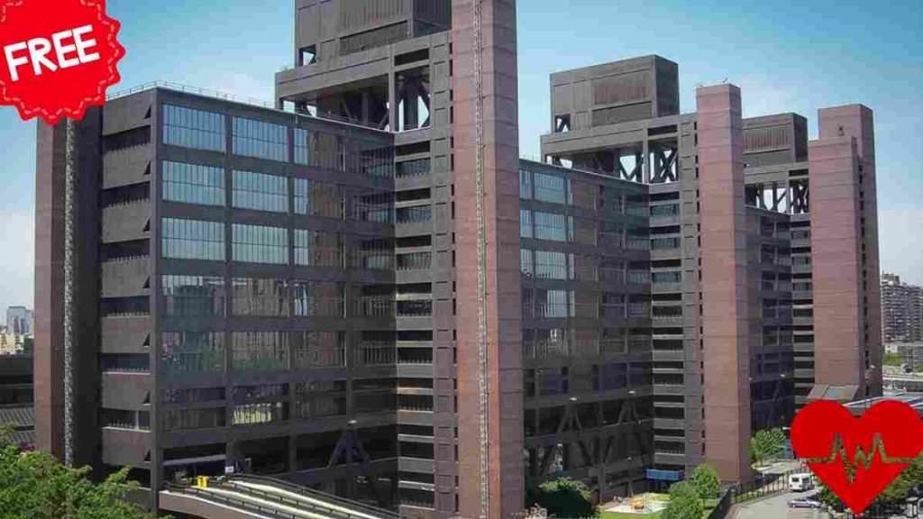 government hospitals in New York City 
