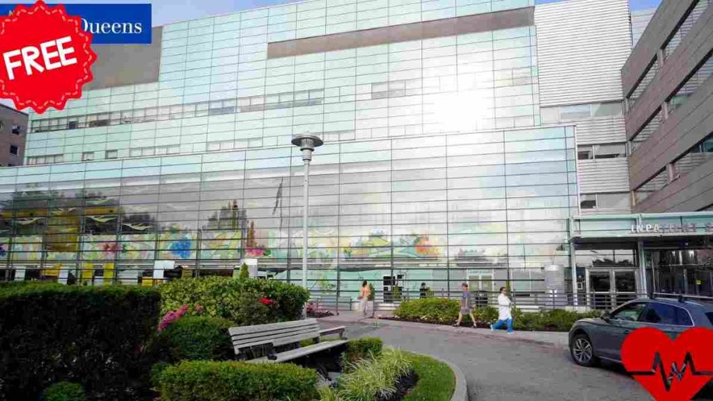 government hospitals in New York City 