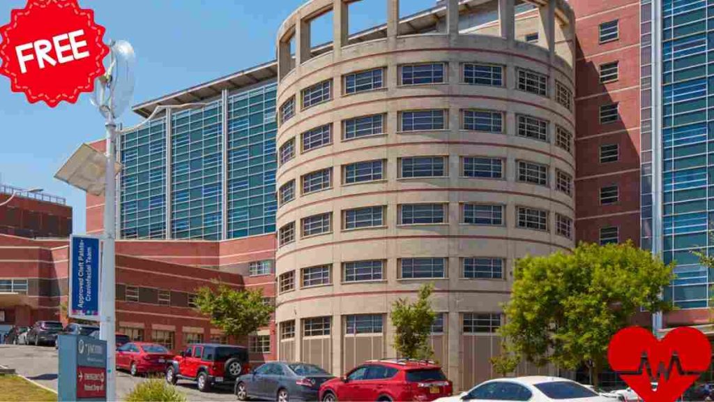 government hospitals in New York City 