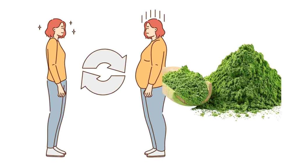Matcha Slim